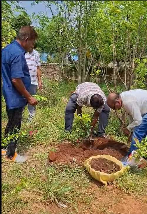 Plantation Program By LCBr Techno